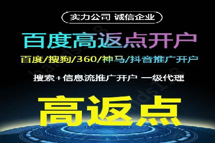 百度竞价排名实战：关键词优化与数据分析案例